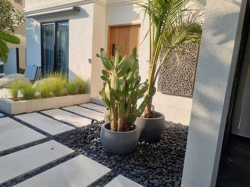 PLants-and-Tree-Installation