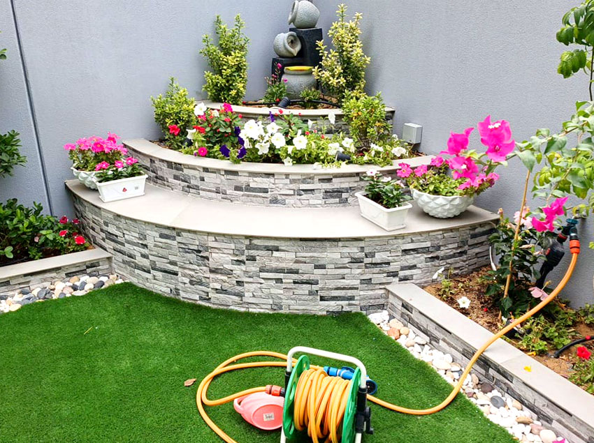 Water-phowara-with-plant